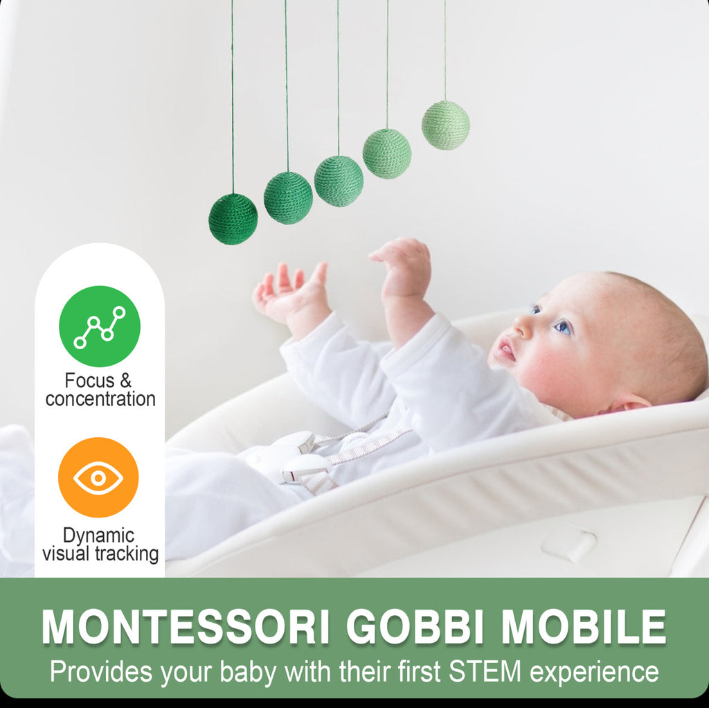 Montessori Educational Kit 0-6 mos.