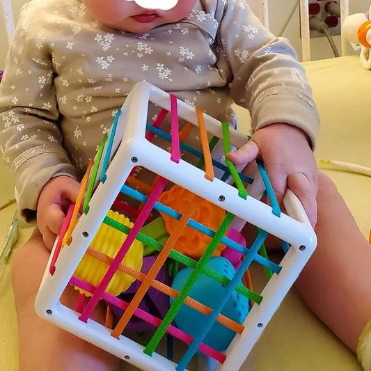 Montessori Shape & Sense Square for Infants