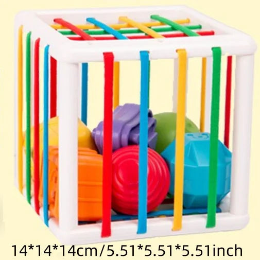 Montessori Shape & Sense Square for Infants